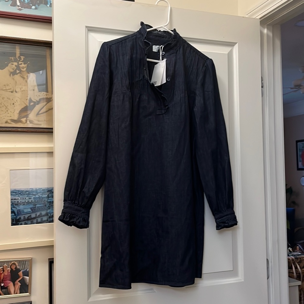 Chambray dress with ruffle neck detail from & Other Stories, NWOT